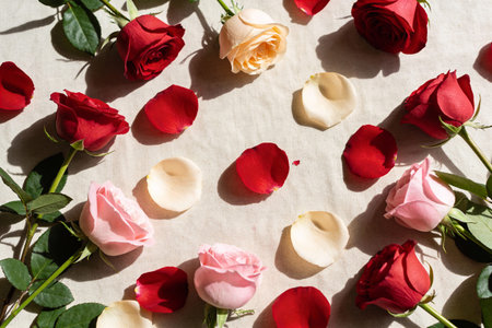 A top-down view of fresh rose blooms and fallen petals in various colors creates a romantic and elegant displayの写真素材
