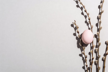 A pastel pink Easter egg is artfully placed on a blooming pussy willow branch, casting gentle...