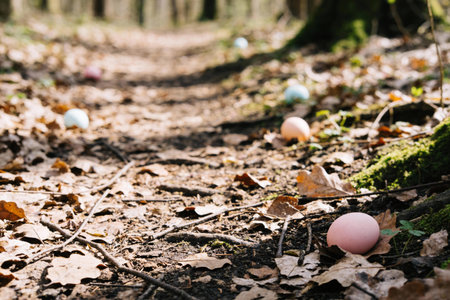 Colorful Easter eggs are scattered along a woodland trail, nestled amongst dry autumn leaves and...