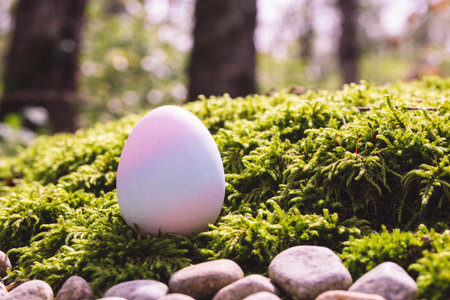 A beautifully decorated Easter egg is nestled amongst vibrant green moss and smooth stones, evoking...