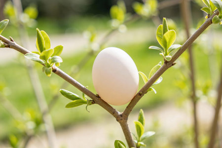 A delicate white egg is cradled by the branches of a tree as new green leaves begin to unfurl in the...