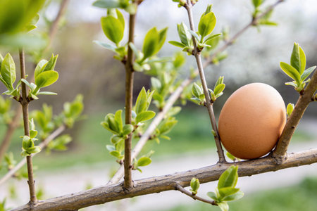 A single brown egg is nestled on a tree branch surrounded by fresh green leaves, symbolizing new...