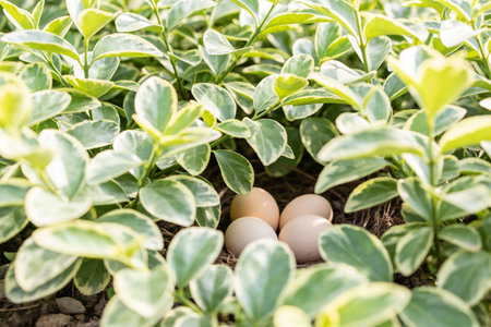 A clutch of delicate eggs rests securely within a natural nest, camouflaged by vibrant foliage and...
