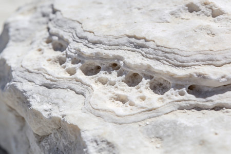 Detailed texture of a light-colored mineral surface featuring intricate layers and small, irregular holes, showcasing natural geological patternsの写真素材