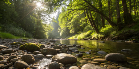 Tranquil riverbank with smooth pebbles and vibrant green trees, sunlight filtering through leaves, creating a peaceful ambiance in a natural environmentの写真素材