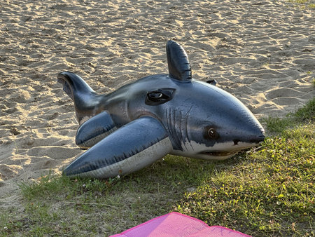 Inflatable shark toy lies on sandy beach, with green grass and colorful mat nearby, creating a playful atmosphere for summer beach activities and enjoymentの写真素材