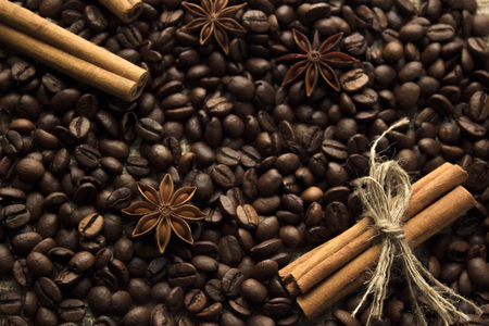 Anis and cinammon on cofee beansの写真素材
