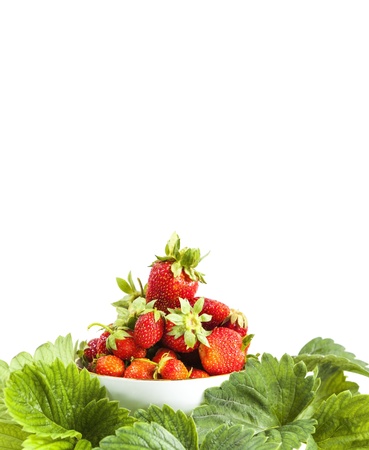 strawberries in a bowl and leaves isolated on white backgroundの写真素材
