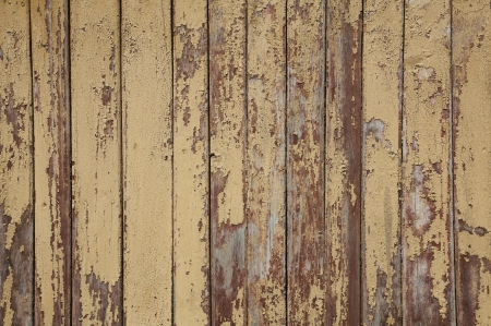 wood texture backgroundの写真素材