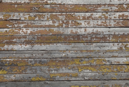 wood texture backgroundの写真素材