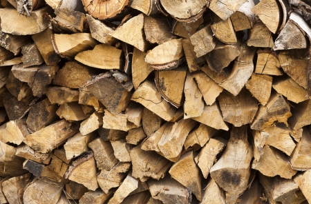 Chopped and stacked pile of pine and birch wood texture backgroundの写真素材