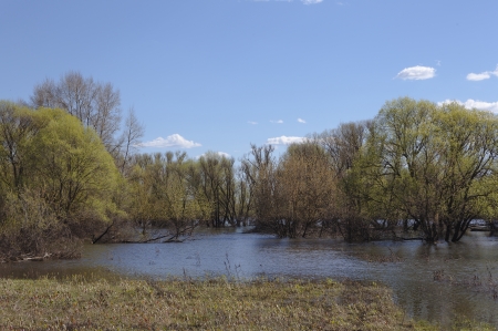 spring floodsの写真素材