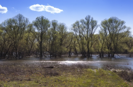 spring floodsの写真素材