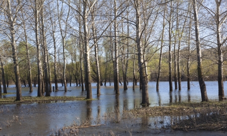 spring floodsの写真素材