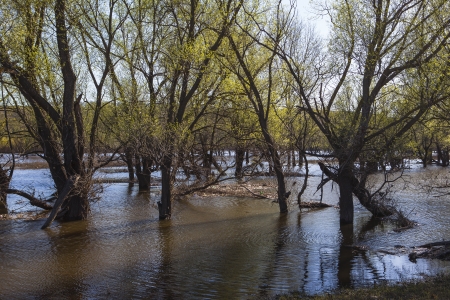 spring floodsの写真素材
