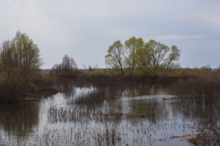spring floodsの写真素材