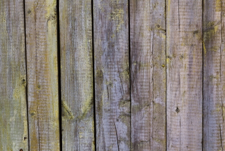 wood texture backgroundの写真素材