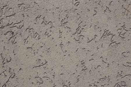 old wall texture for backgroundの写真素材