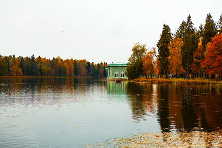 autumn parkの写真素材