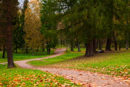 autumn parkの写真素材