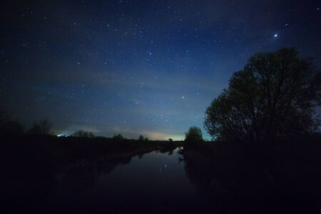 a beautiful night sky, the Milky Way and the treesの写真素材