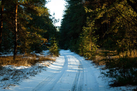 Sunset in a winter forest and roadの写真素材