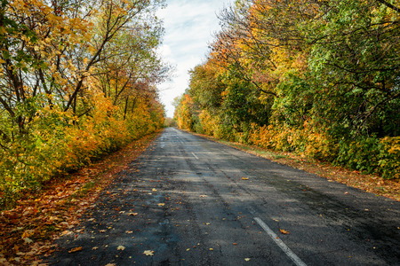 autumn road in the dayの写真素材
