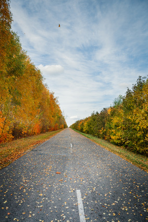 autumn park in the dayの写真素材