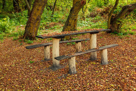 bench in the autumn forestの写真素材