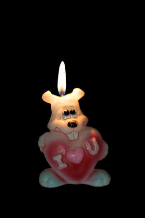 Bunny with a heart with the inscription: I love you.の写真素材