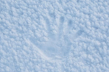 cast someone else's hands on the white snowの写真素材