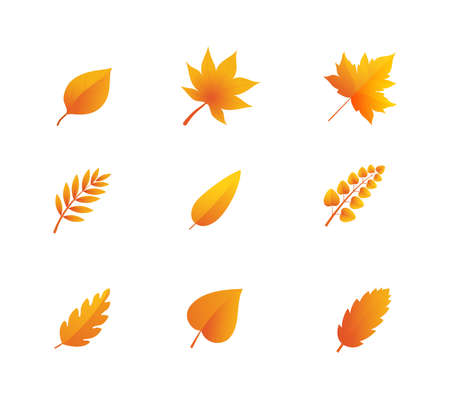 Autumn leaves vector setのイラスト素材