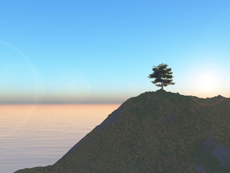 A single tree on a mountain at sunset.の写真素材