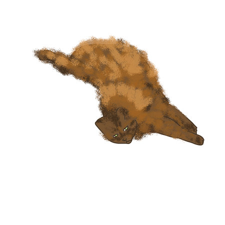 Illustration of a sleeping cat. isolated on white background.の写真素材