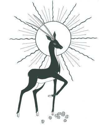 Giraffe with sunburst. Black and white vector illustration.の写真素材