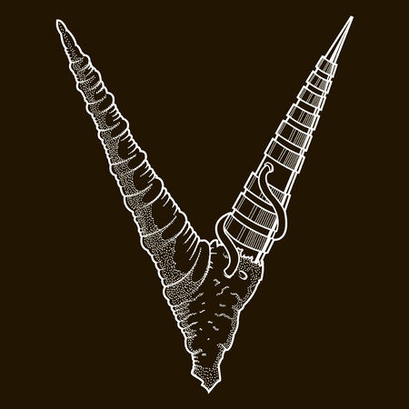 Abstract cyber steam-punk horns, V-letter isolated on black background  White outlines  Vector illustrationのイラスト素材