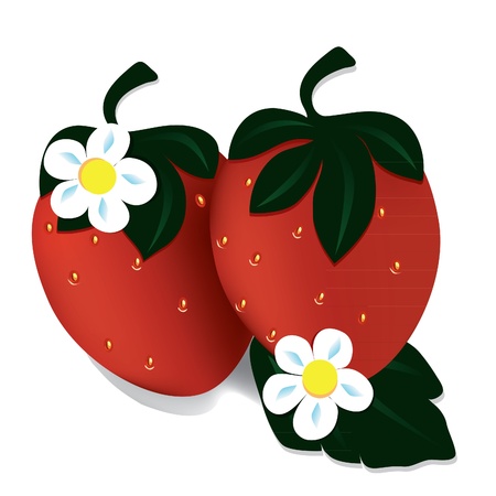 two red strawberries, background, berry, fruit, foodのイラスト素材