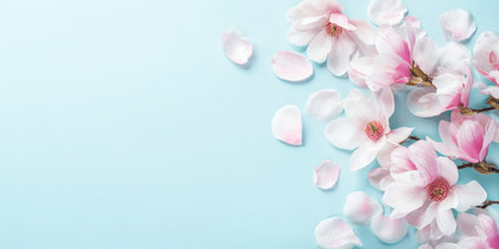 Cherry blossoms with delicate pink and white petals rest gently against a soft blue background, creating a serene and tranquil springtime atmosphere perfect for decoration.の素材