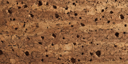 Close-up of a natural cork surface showcasing various holes and patterns. The warm tones highlight the unique texture and organic beauty of this material found in nature.の素材