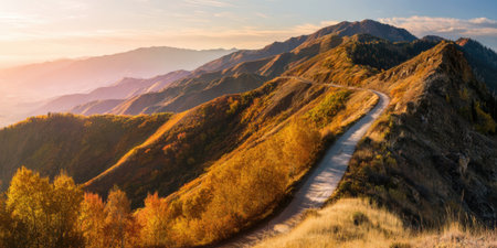 Golden sunlight bathes a winding road in the mountains during autumn. Vibrant orange and yellow leaves line the path, creating a serene landscape. Shadows stretch across distant peaks.の素材