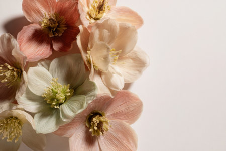 A group of soft-hued flowers displays a mix of peach, cream, and green shades. Their natural beauty stands out against a plain white surface.の素材