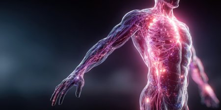 A digital artwork showing a human figure with illuminated nerves and muscles in a dark setting, emphasizing the bodys intricate structures and connections.の素材