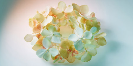 Soft hydrangea flowers in shades of white and pastel colors are beautifully arranged in a circular form on a light background, showing their natural beauty.の素材