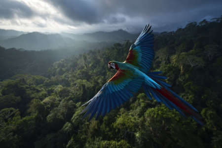 A vibrant macaw soars gracefully in the sky above a dense rainforest. The early morning light reveals the rich greenery below, enhancing the birds brilliant colors.の素材