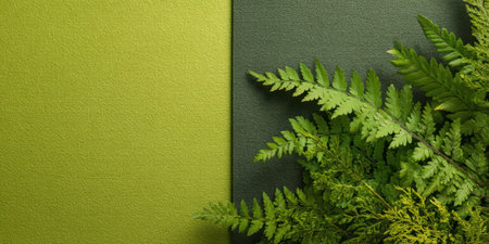 Lush green fern leaves spread across a textured surface, showing a vibrant contrast against a dual-tone background of light and dark green. The setting is peaceful and natural.の素材