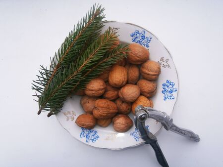 Fruits of walnutの写真素材