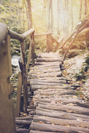 Wood way of bridge in fall forestの写真素材