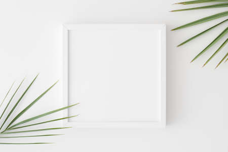 Top view of a white square frame mockup with palm leaf decoration.の写真素材