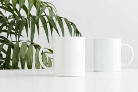 Mug mockup on a white table and a palm plant.の写真素材