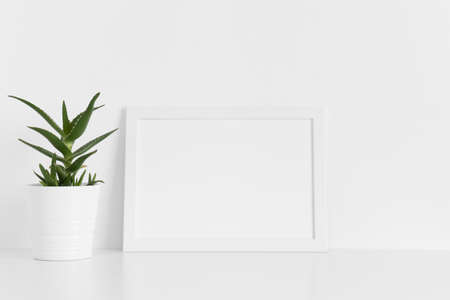 White frame mockup with a aloe vera in a pot on a white table.Landscape orientation.の写真素材